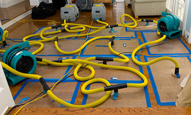 Professional Basement Flood Cleanup technician working in Laguna Woods, CA